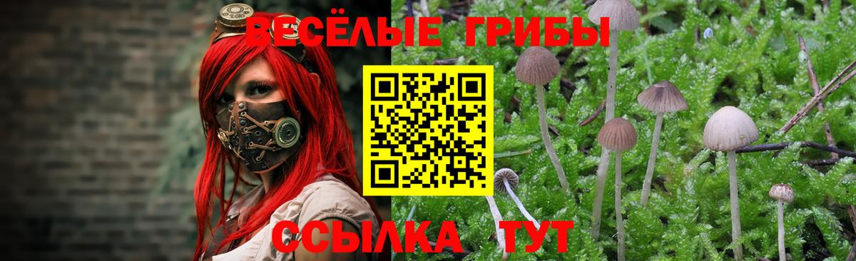 Псилоцибиновые грибы ЛСД  Вход с VPN  как найти   Ленинск-Кузнецкий 
