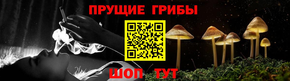 Галлюциногенные грибы прущие грибы Ленинск-Кузнецкий